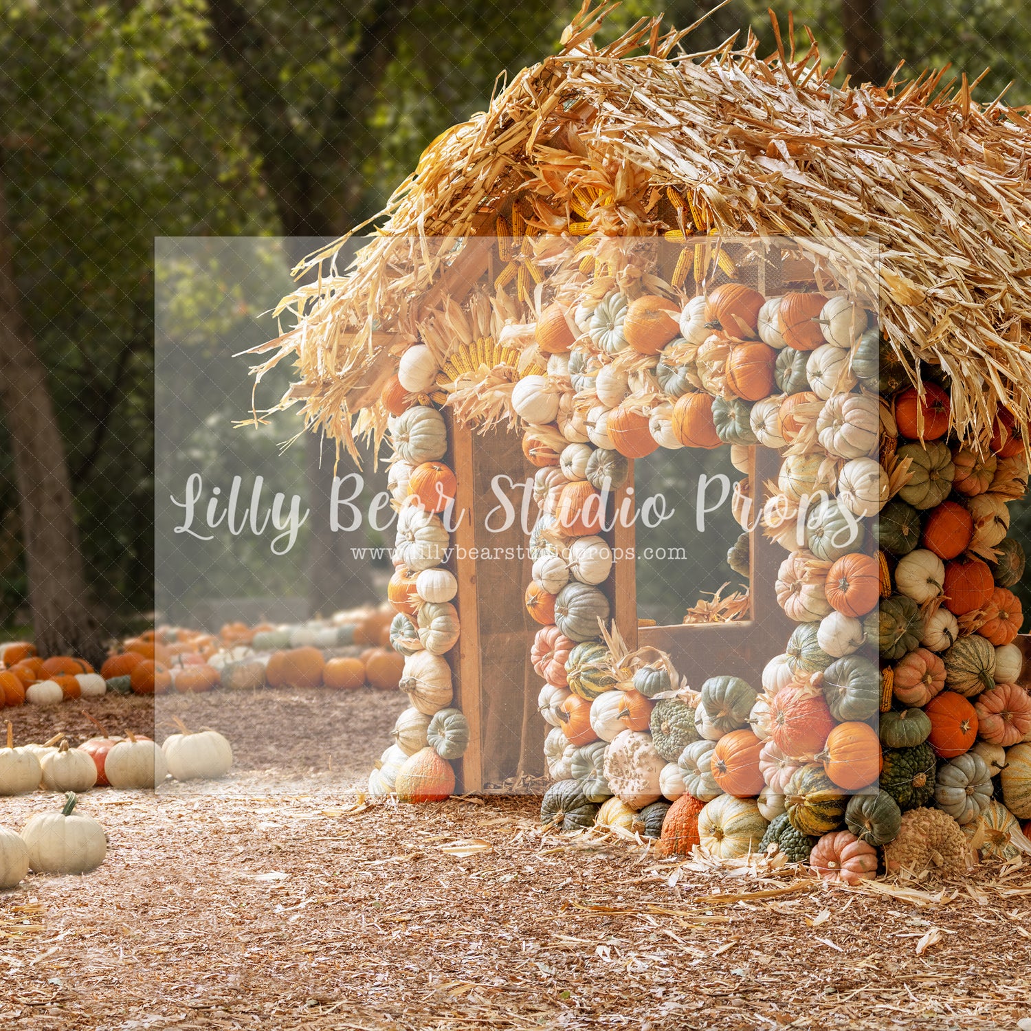 Pumpkin House Side - Lilly Bear Studio Props, christmas, Decorated, fall, fall colors, fall colours, fall forest, fall leaves, fall mini, fall pumpkins, fall season, falling leaves, farm pickup, Giving, halloween, Peaceful, pickup, pickup truck, pumpkin field, spooky halloween