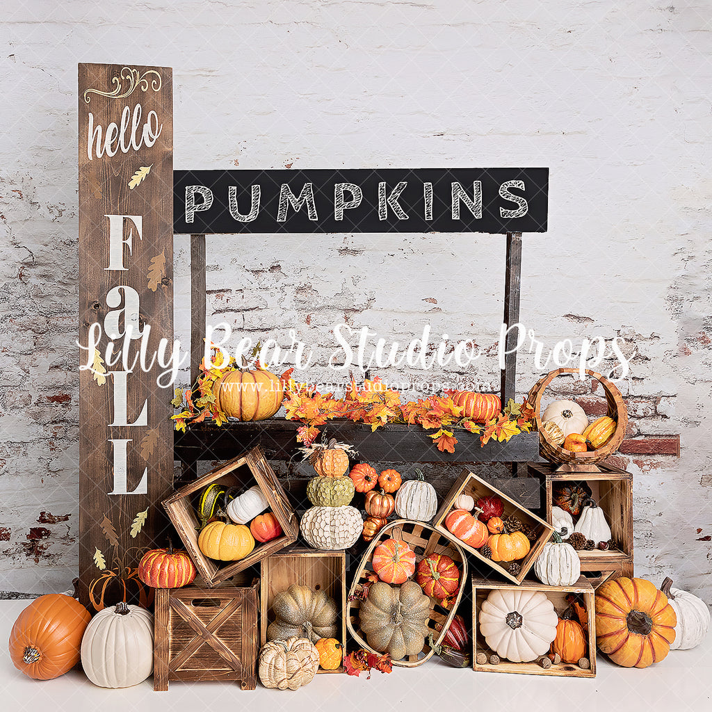 Pumpkin Market by Meagan Paige Photography sold by Lilly Bear Studio Props, autumn - autumn colors - autumn colours - a