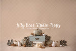 Pumpkins green-beige - Lilly Bear Studio Props, blooming flowers, cake smash, fall flowers, fall pumpkins, floral pink, flower garden, flowers, green pumpkin, green pumpkins, pastel, spring flowers, white balloons, white pumpkin