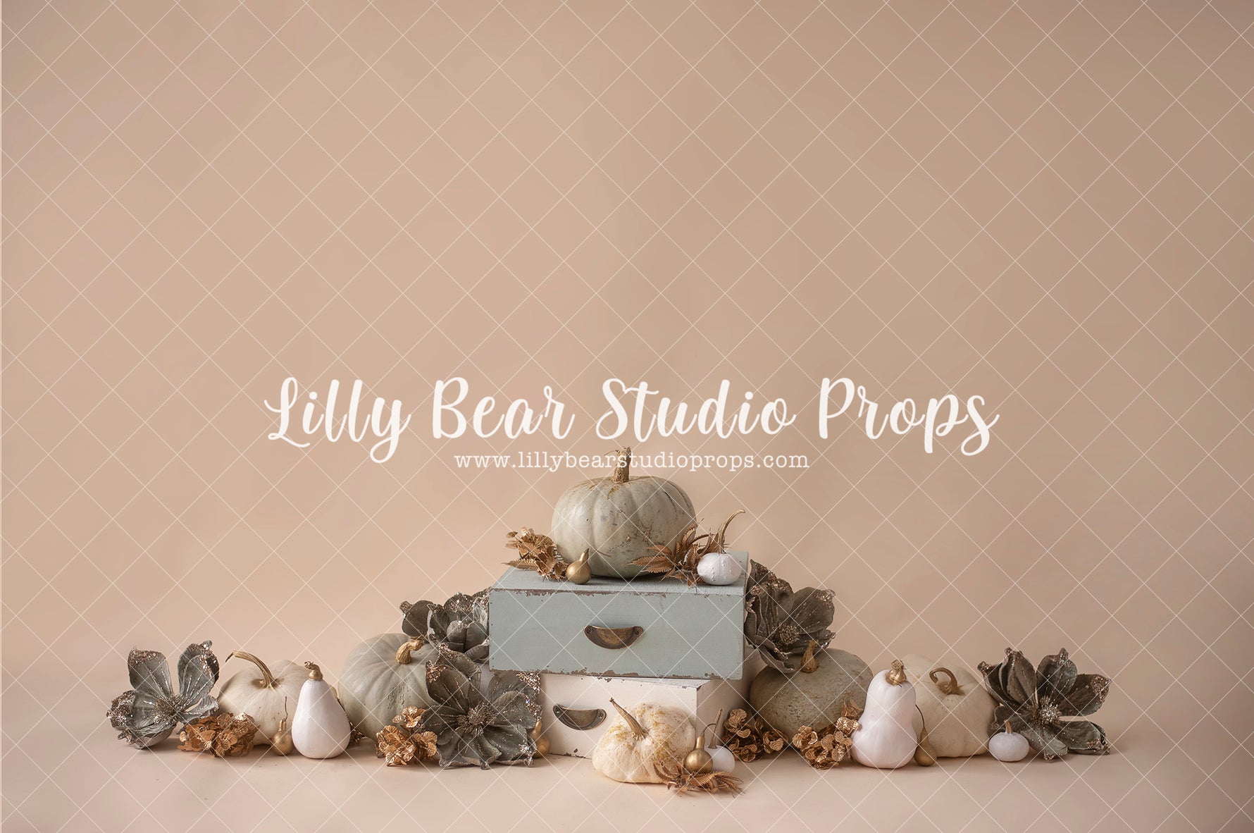 Pumpkins green-beige - Lilly Bear Studio Props, blooming flowers, cake smash, fall flowers, fall pumpkins, floral pink, flower garden, flowers, green pumpkin, green pumpkins, pastel, spring flowers, white balloons, white pumpkin