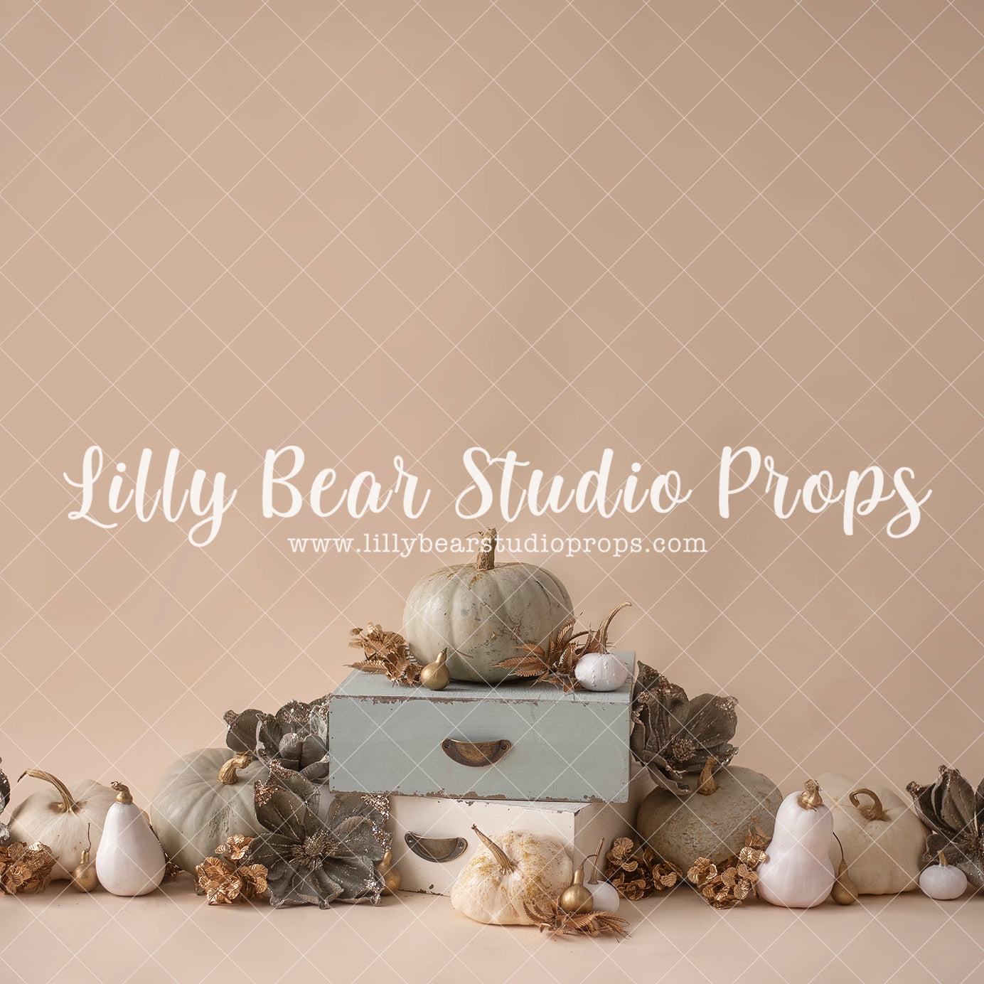 Pumpkins green-beige - Lilly Bear Studio Props, blooming flowers, cake smash, fall flowers, fall pumpkins, floral pink, flower garden, flowers, green pumpkin, green pumpkins, pastel, spring flowers, white balloons, white pumpkin