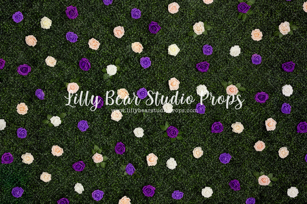 Purple Rose Wall - Lilly Bear Studio Props, blue roses, boxwood, boxwood wall, bush, FABRICS, floral, flowers, garden, grass, green wall, greenery, pink rose, pink roses, purple roses, red rose, red roses, rose, roses, spring, valentine, valentines, valentines day, white roses