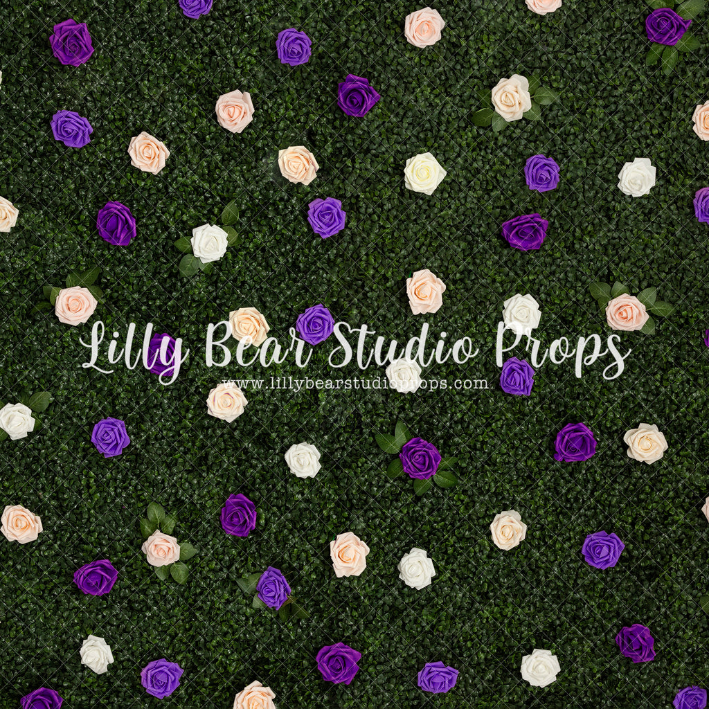 Purple Rose Wall - Lilly Bear Studio Props, blue roses, boxwood, boxwood wall, bush, FABRICS, floral, flowers, garden, grass, green wall, greenery, pink rose, pink roses, purple roses, red rose, red roses, rose, roses, spring, valentine, valentines, valentines day, white roses