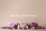 Purple Shades Pumpkins - Lilly Bear Studio Props, blooming flowers, cake smash, cinderella, cinderella carriage, floral pink, flower garden, flowers, fuchsia, pastel, pink and white, pink floral, pink flower, pink flowers, pink white and gold, princess carriage, pumpkin carriage, purple pumpkin, shades of purple, spring flowers, white balloons