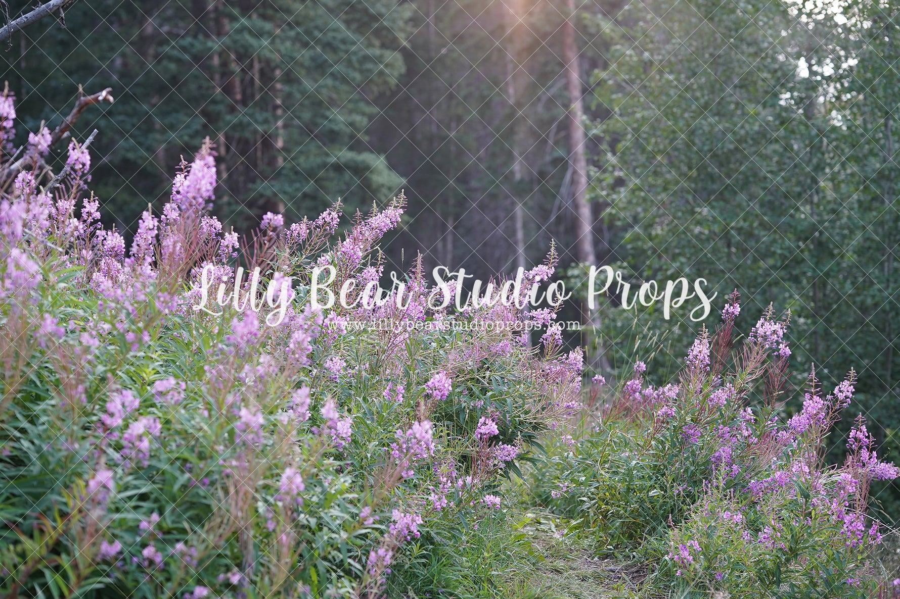 Purple Wild Flowers - Lilly Bear Studio Props, bloom, boho garden, floral, floral field, flower, flower field, flowers, green, large flowers, purple blooms, purple flowers, spring, spring floral, spring flowers, springtime, wild flower field, wild flowers