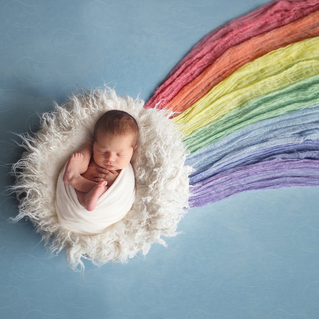Rainbow Baby - Pastel Digital Backdrop - Lilly Bear Studio Props, bowl, clouds, digital, newborn digital backdrop, pastel, rainbow, rainbow baby, round