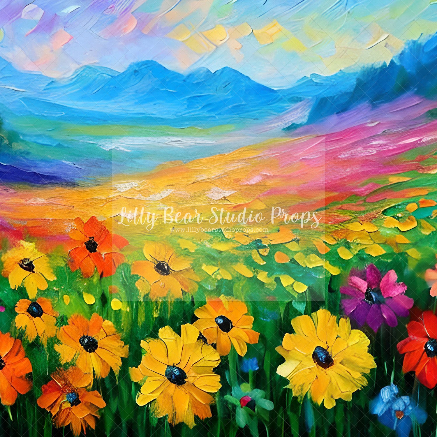 Rainbow Flower Field