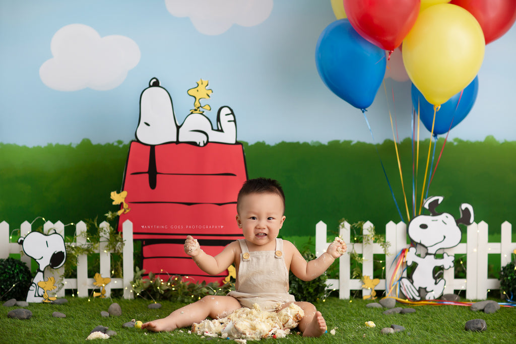 Snoopys Garden by Jessica Ruth Photography sold by Lilly Bear Studio Props, blue sky - boys - cake smash - charlie brow
