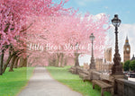 River bank walk with cherry blossom - Lilly Bear Studio Props, cherry blossom tree, cherry blossoms, Fabric, FABRICS, flower spring, paris, paris city, paris garden, parisian, pink camper, pink cherry blossoms, pink tulips, spring, tulip, white cherry blossoms, Wrinkle Free Fabric