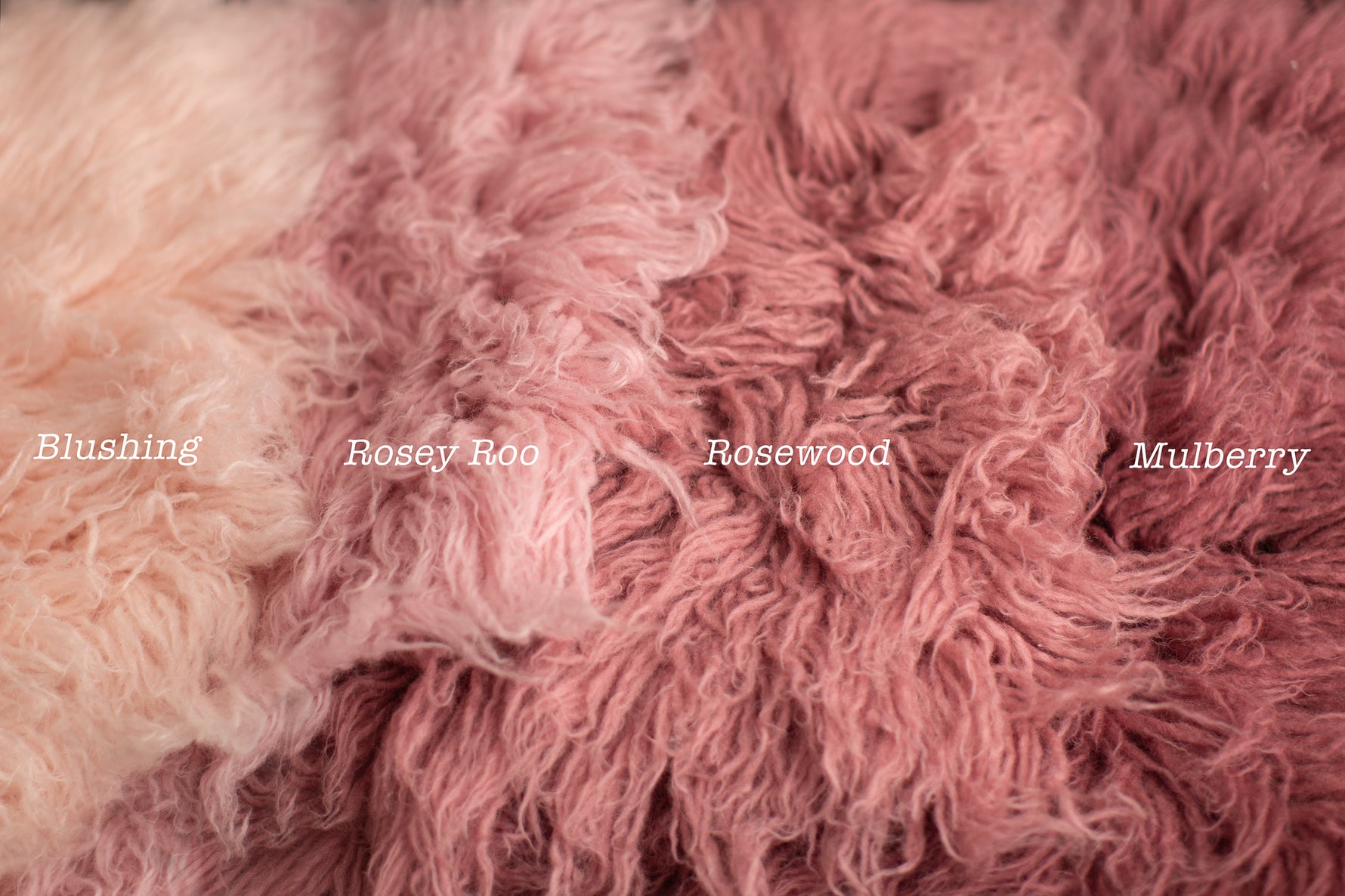 BLUSHING Premium Wool Flokati [RTS] - Lilly Bear Studio Props, Canadian Flokati, Flokati, Flokati - Presale Deposit, Newborn Flokati, Newborn photography, Newborn Photography Flokati, Photography Prop Flokati, photography props, Premium Wool Flokati, Premium Wool Flokatis, Ready to Ship Flokati, RTS Flokati, Shag Rugs, Wool Flokati
