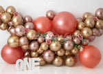 Rosie by OhSoBeauty Photography sold by Lilly Bear Studio Props, balloon garland - balloon party - balloon wall - ballo