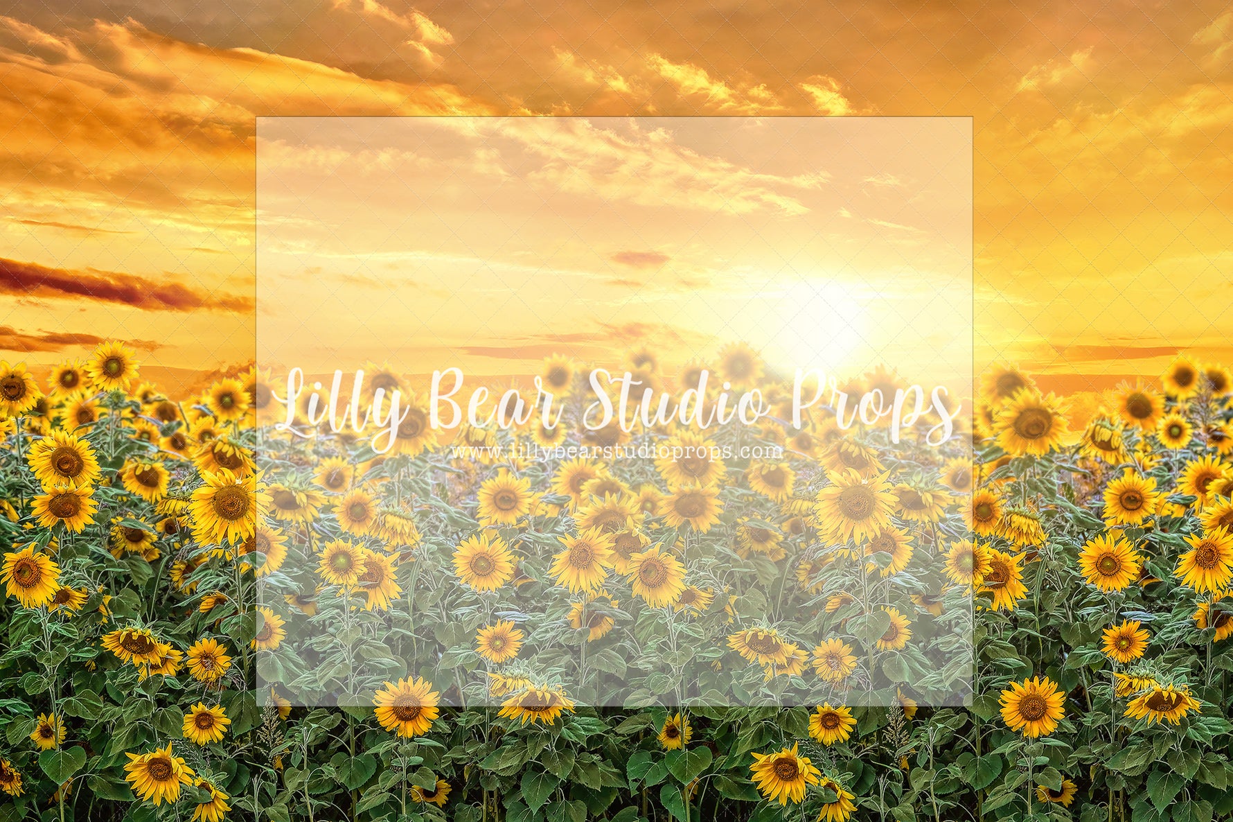 Sunflower Fields by Sissi Wang - Lilly Bear Studio Props, blue flowers, cherry blossoms, cream, FABRICS, fine art, floral, floral garden, floral sweep, flower fields, flowers, garden flowers, hand painted, hand painted floral, neutral fine art, painted, painted flowers, pink, pink cherry blossoms, pink flowers, sunflower, sunflower farm, sunflower field, sunflower garden, sunflowers, sweep, textured, yellow flowers