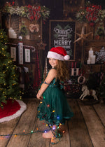 Santa Stops Here - Lilly Bear Studio Props, animals, autumn forest, dark forest, enchanted forest, Fabric, FABRICS, fall forest, forest, forest animals, forest entry, forest floor, forest friends, forest painting, fox, green forest, into the wild, lanterns, little wild one, misty forest, moon, moonlight, moonlight forest, night forest, nighttime, owl, pine forest, pine tree, pine tree forest, pine trees, raccoon, where the wild things are, wild, wild animal, wild one, wild things, woodland forest