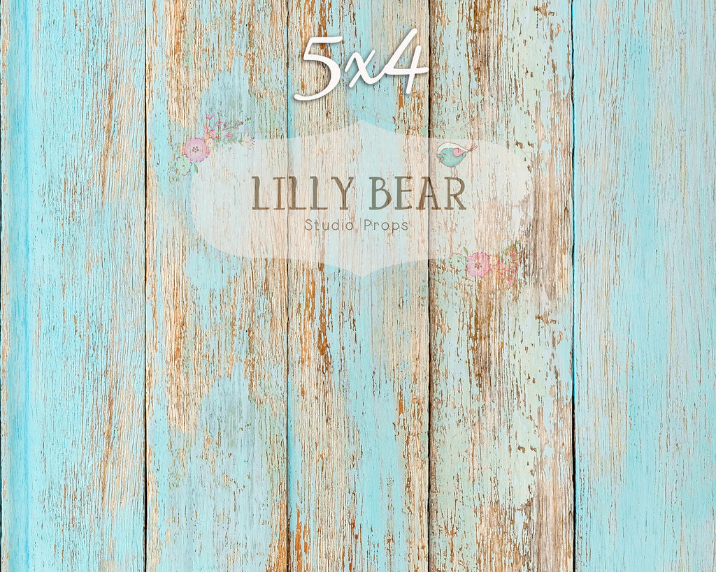 Sea Side Planks LB Pro Floor by Lilly Bear Studio Props sold by Lilly Bear Studio Props, barn wood - beach - beach wood