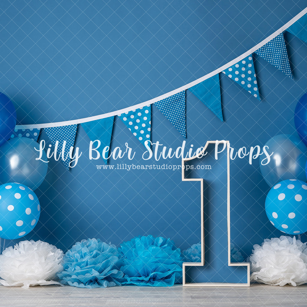 Shades of Blue Birthday by Jessica Ruth Photography sold by Lilly Bear Studio Props, balloon - balloons - birthday - bl