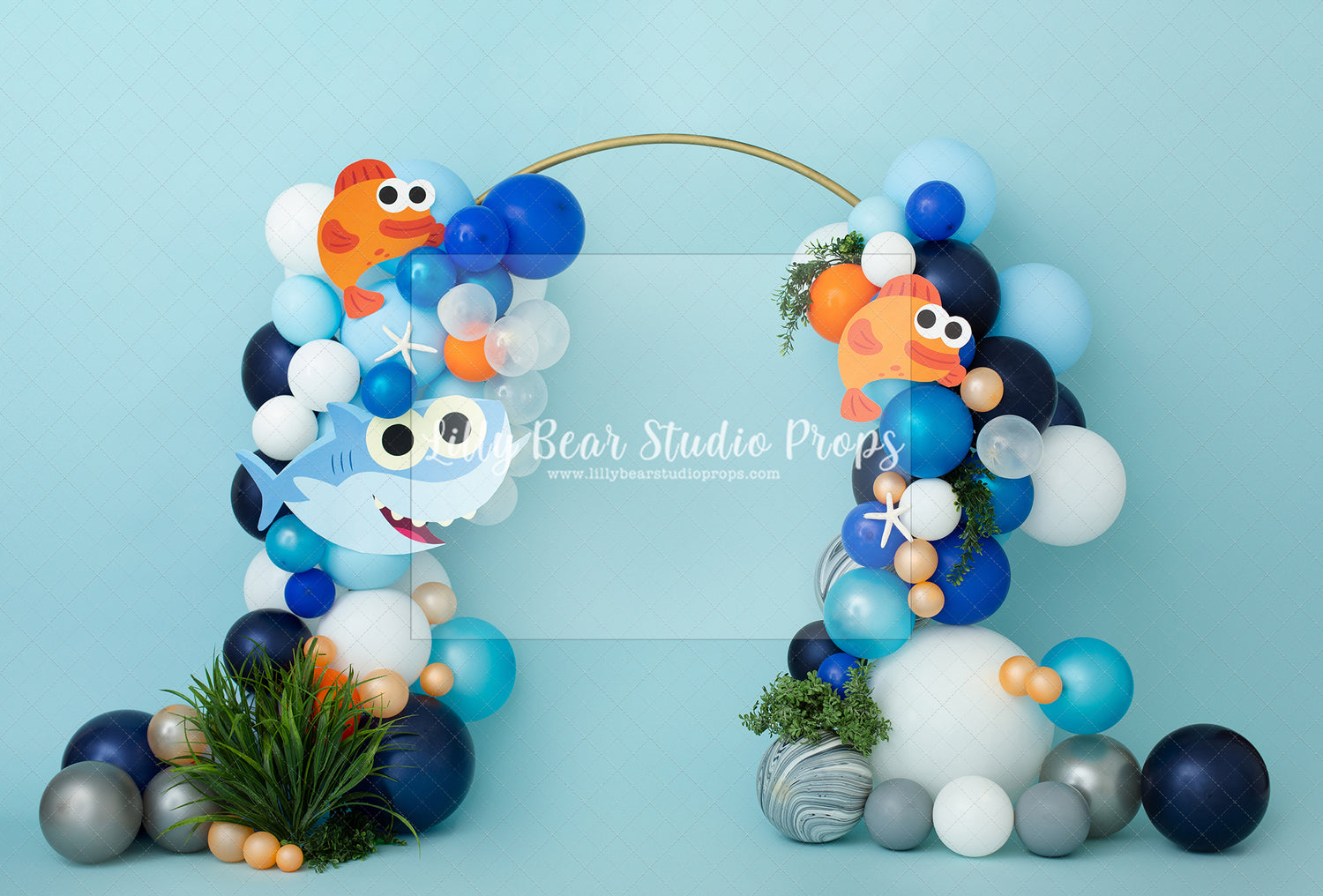 Sharky Baby Arch