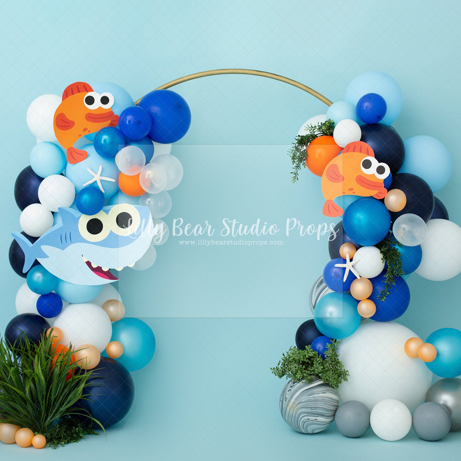 Sharky Baby Arch
