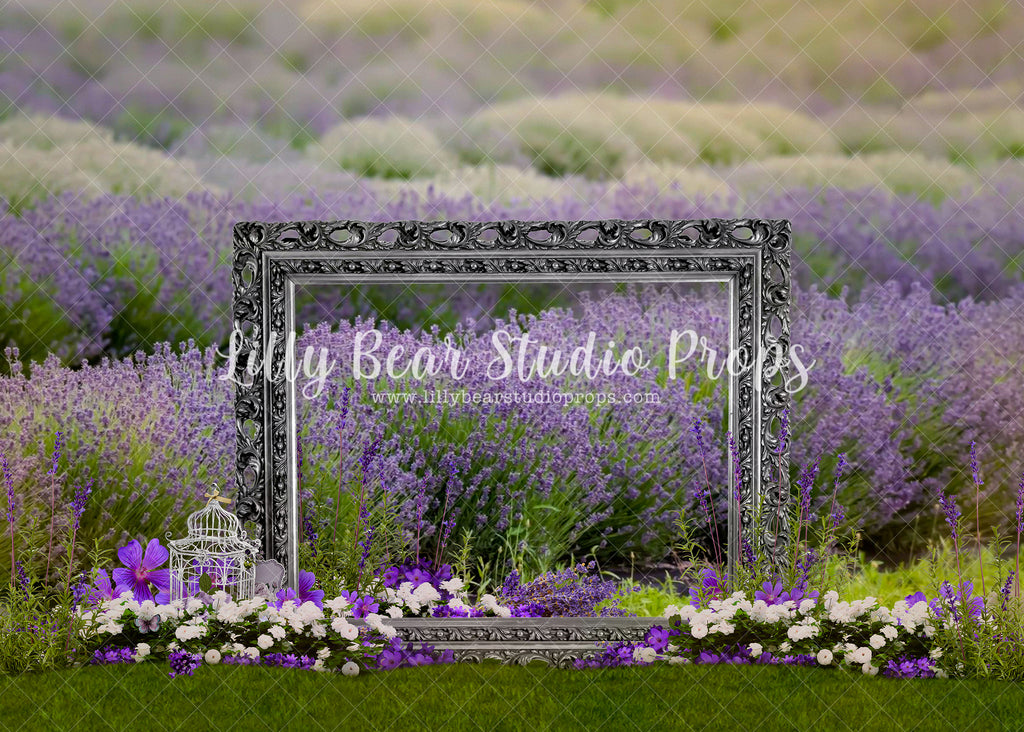 Silver Framed Lavender Fields - Lilly Bear Studio Props, bird cage, Fabric, FABRICS, floral, floral garden, flower field, frame, garden, gold, gold frame, lavender field, purple flowers, silver and purple, silver frame, spring flowers, summer field, summer flowers
