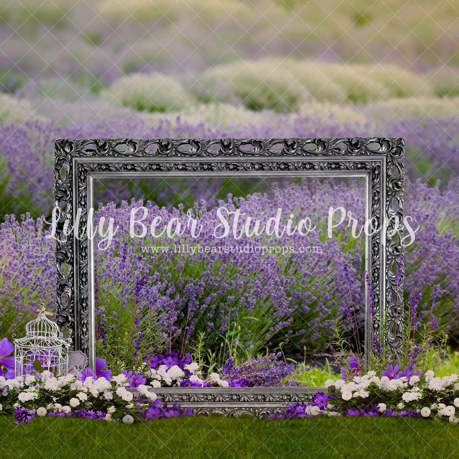 Silver Framed Lavender Fields - Lilly Bear Studio Props, bird cage, Fabric, FABRICS, floral, floral garden, flower field, frame, garden, gold, gold frame, lavender field, purple flowers, silver and purple, silver frame, spring flowers, summer field, summer flowers
