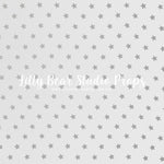 Silver Stars by OhSoBeauty Photography sold by Lilly Bear Studio Props, birthday - cake smash - girls - little all star