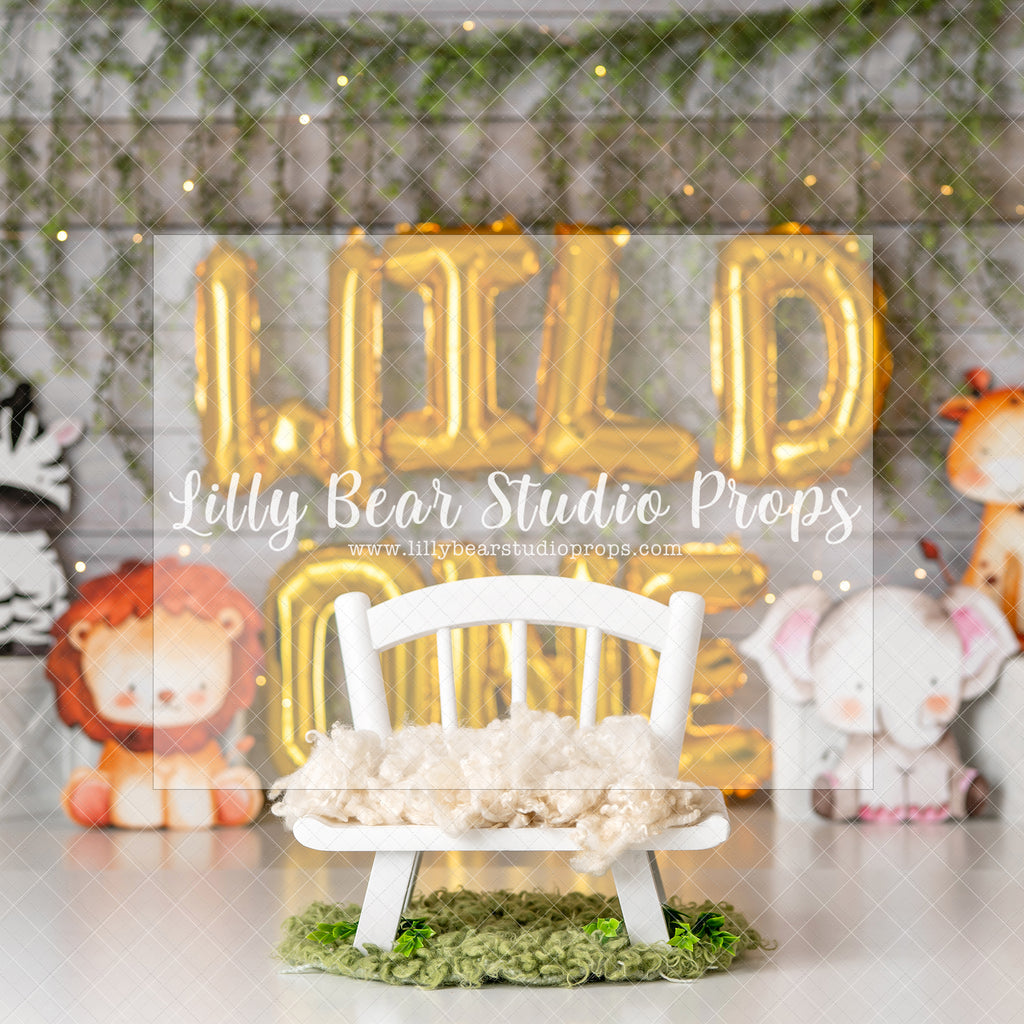 Simple Wild - Digital Backdrop - Lilly Bear Studio Props, digital, digital backdrop, wild one