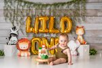 Simply Wild One Jungle - Lilly Bear Studio Props, baby jungle, elephant jungle, fabric, fine art, girls, heart jungle, into the jungle, jungle, jungle animals, jungle first birthday, jungle one, jungle party, jungle safari party, little wild one, poly, simple garland, spanish moss, vinyl, welcome to the jungle, wild jungle, wild one, wild one girl, Wrinkle Free Fabric