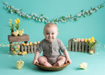 Lilly Sitter Bowl (RTS) - Lilly Bear Studio Props, baby chair prop, baby stool prop, Canadian Newborn Wood Props, canadian photographer, Canadian photography props, canadian wood photography props, Canadian Wood Props, honey bucket, Newborn bed, Newborn bowl, newborn honey bucket, newborn photographer, newborn photographer props, newborn photography, newborn props, portrait photographer, prop, props, vintage buckets, wood, wood bucket newborn prop, Wood Newborn Photography Props, wood prop