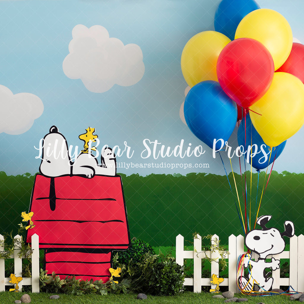 Snoopy's Birthday by Jessica Ruth Photography sold by Lilly Bear Studio Props, blue sky - boys - cake smash - charlie b