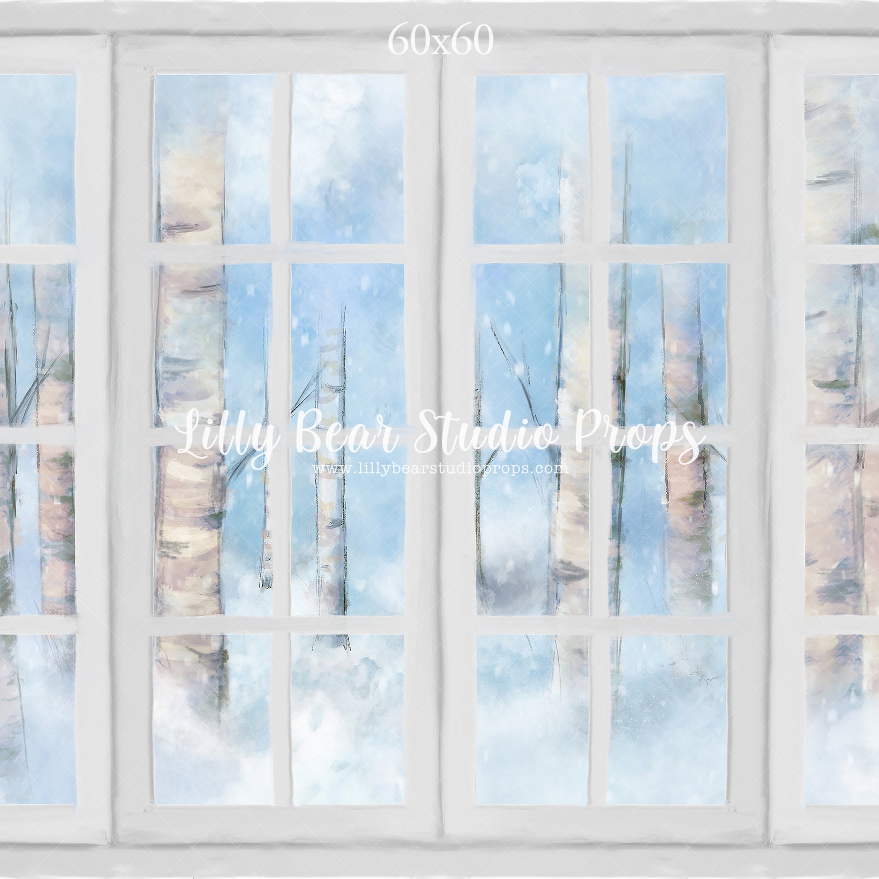 Snowy Birch Window by Jessica Ruth Photography sold by Lilly Bear Studio Props, birch - birch trees - castle - fantasy