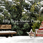 Snowy Cedar Park - Lilly Bear Studio Props, animals, autumn forest, dark forest, enchanted forest, Fabric, FABRICS, fall forest, forest, forest animals, forest entry, forest floor, forest friends, forest painting, fox, green forest, into the wild, lanterns, little wild one, misty forest, moon, moonlight, moonlight forest, night forest, nighttime, owl, pine forest, pine tree, pine tree forest, pine trees, raccoon, where the wild things are, wild, wild animal, wild one, wild things, woodland forest