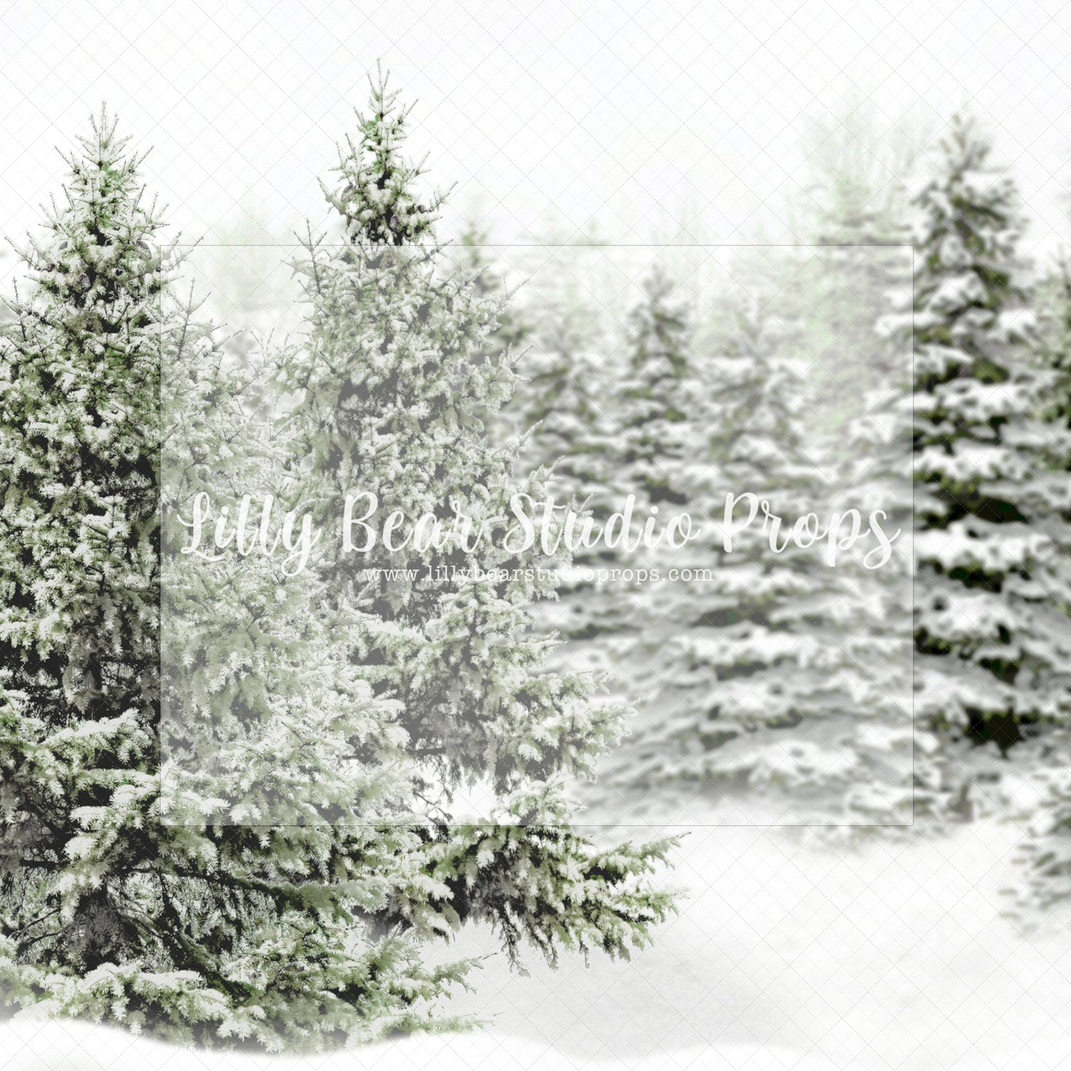 Snowy Evergreens