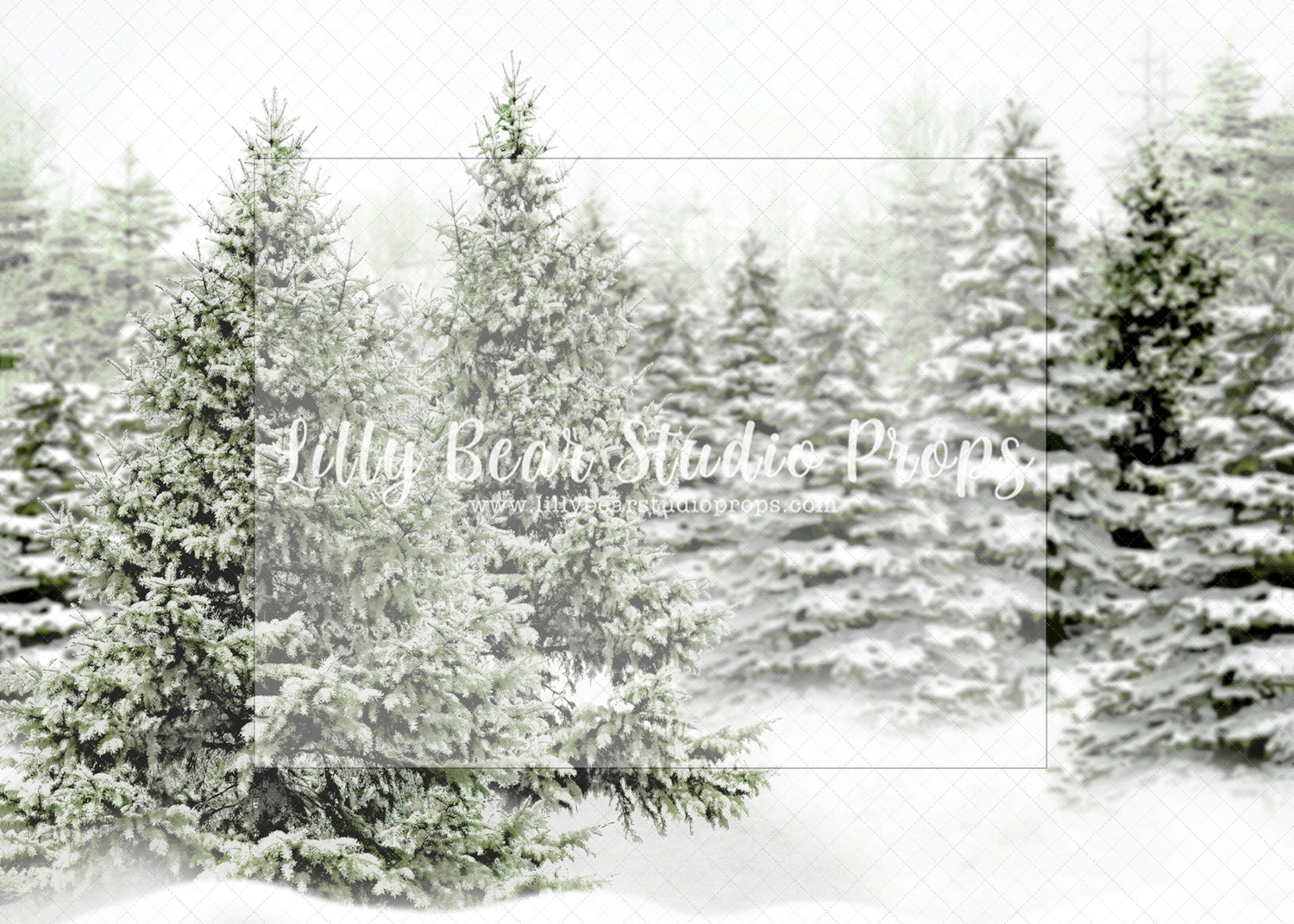 Snowy Evergreens