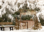 Snow Hot Cocoa Bar - Lilly Bear Studio Props, animals, autumn forest, dark forest, enchanted forest, Fabric, FABRICS, fall forest, forest, forest animals, forest entry, forest floor, forest friends, forest painting, fox, green forest, into the wild, lanterns, little wild one, misty forest, moon, moonlight, moonlight forest, night forest, nighttime, owl, pine forest, pine tree, pine tree forest, pine trees, raccoon, where the wild things are, wild, wild animal, wild one, wild things, woodland forest
