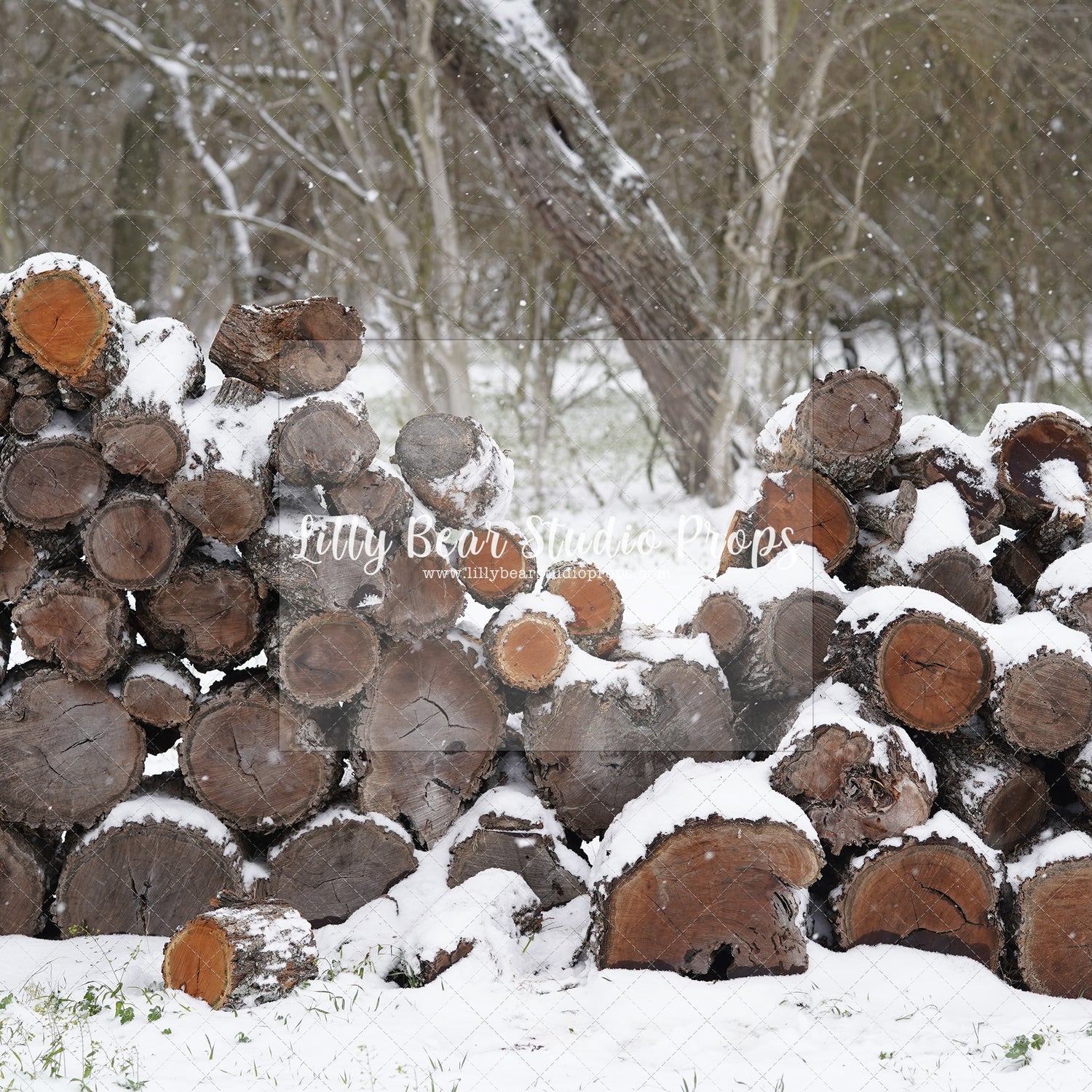 Snowy Logs 1