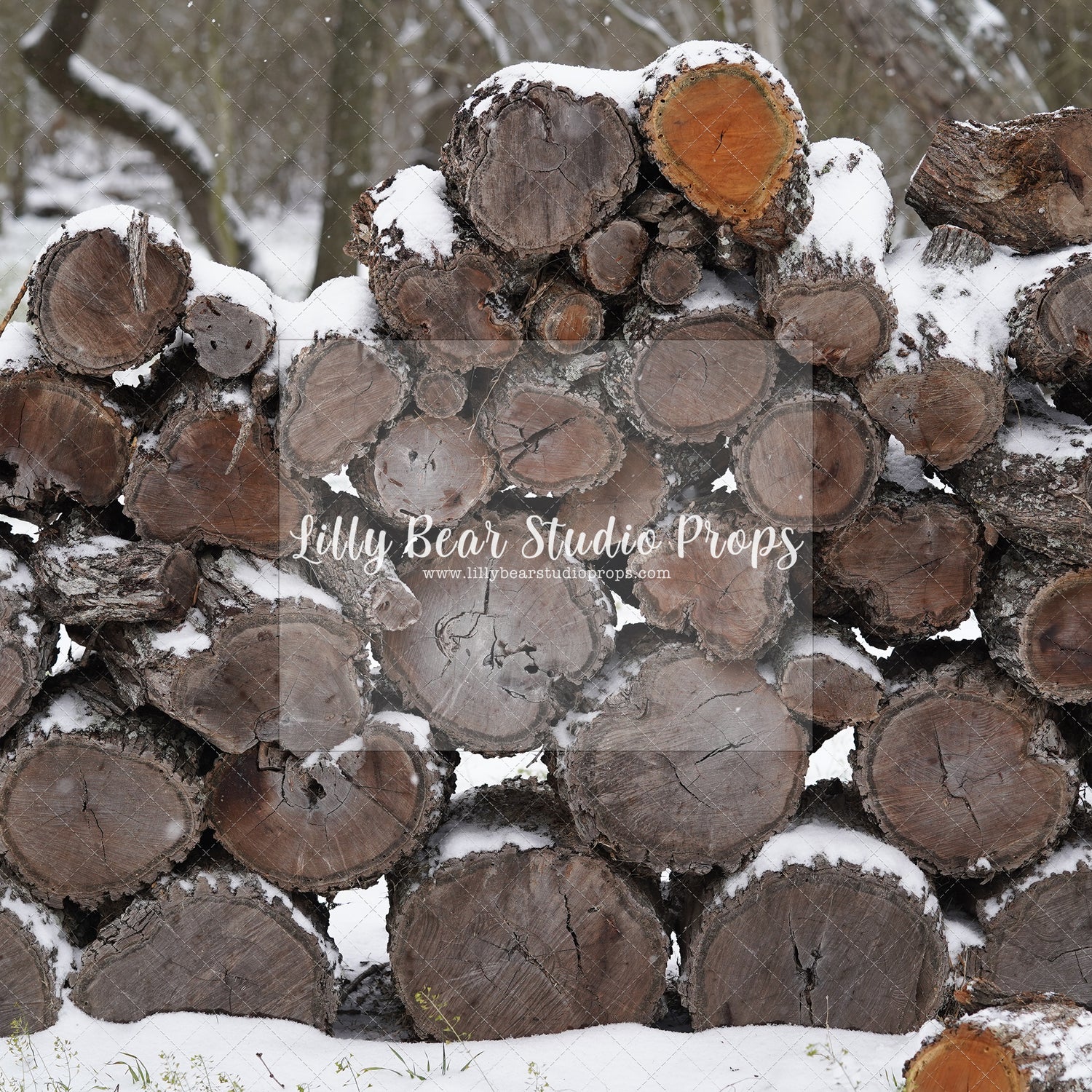 Snowy Logs 2