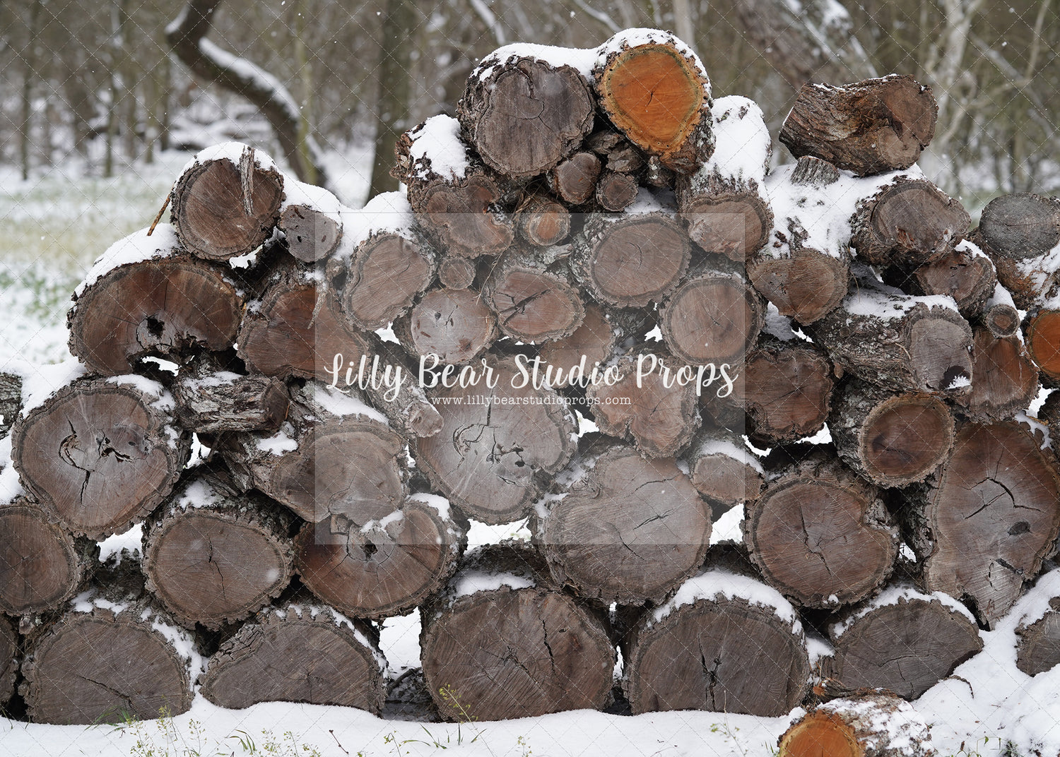 Snowy Logs 2