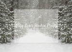 Snowy White Pathway - Lilly Bear Studio Props, christmas, Cozy, Decorated, Festive, Giving, Holiday, Holy, Hopeful, Joyful, Merry, Peaceful, Peacful, Red & Green, Seasonal, Winter, Xmas, Yuletide