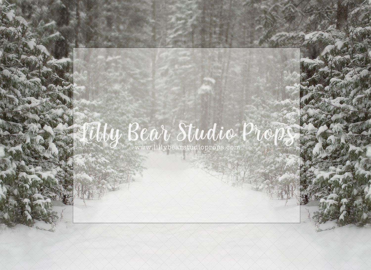 Snowy White Pathway - Lilly Bear Studio Props, christmas, Cozy, Decorated, Festive, Giving, Holiday, Holy, Hopeful, Joyful, Merry, Peaceful, Peacful, Red & Green, Seasonal, Winter, Xmas, Yuletide