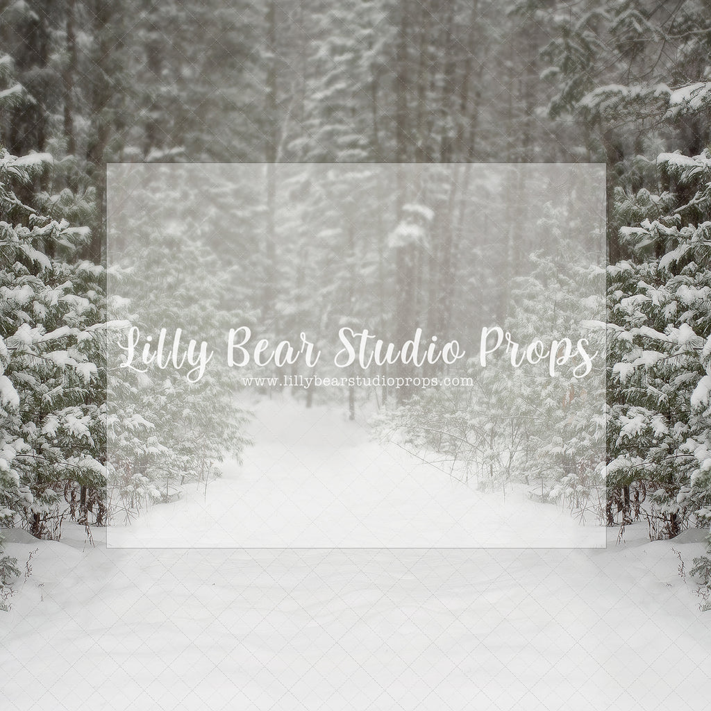 Snowy White Pathway - Lilly Bear Studio Props, christmas, Cozy, Decorated, Festive, Giving, Holiday, Holy, Hopeful, Joyful, Merry, Peaceful, Peacful, Red & Green, Seasonal, Winter, Xmas, Yuletide