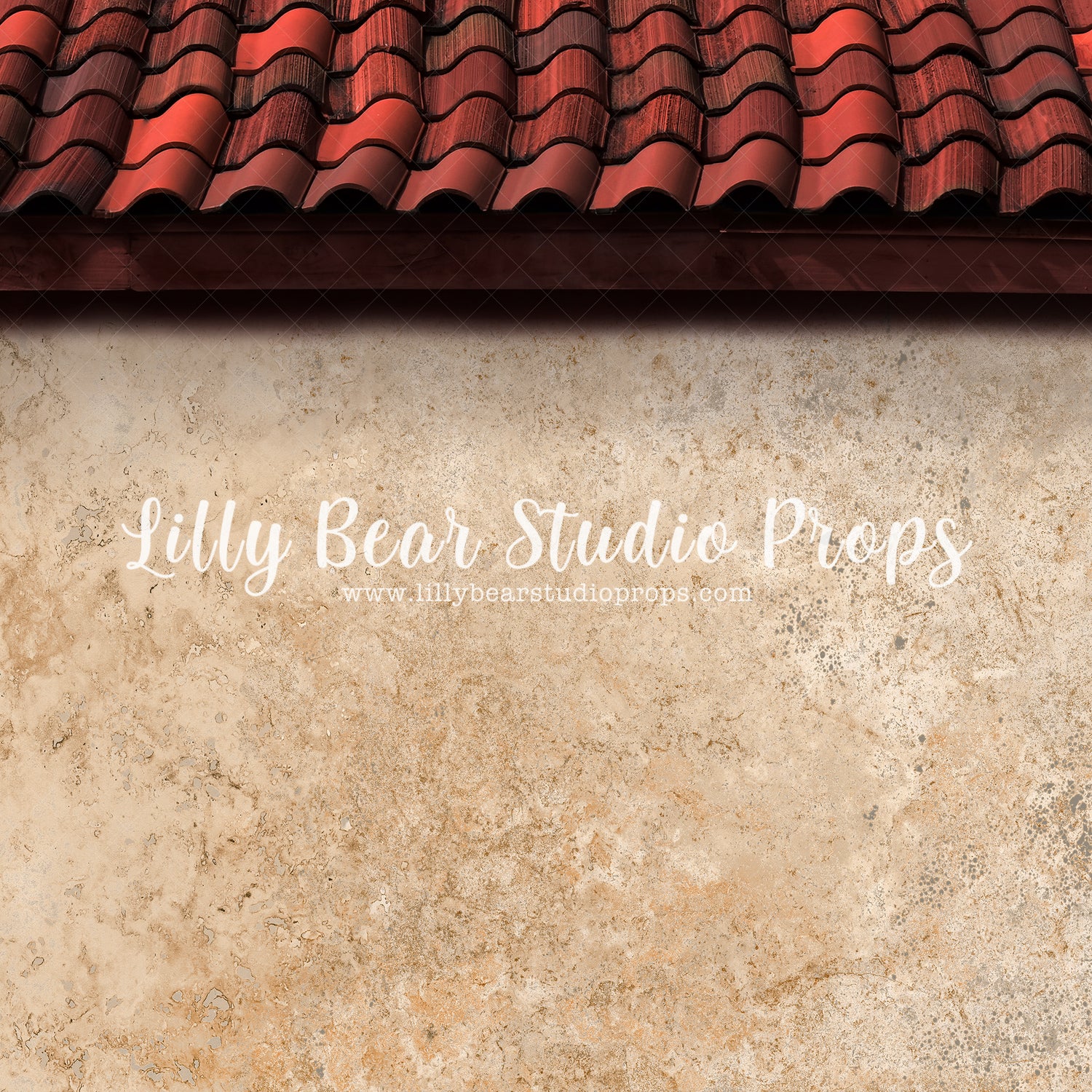Spanish House by Lilly Bear Studio Props sold by Lilly Bear Studio Props, catus - fiesta - fiesta party - first birthda