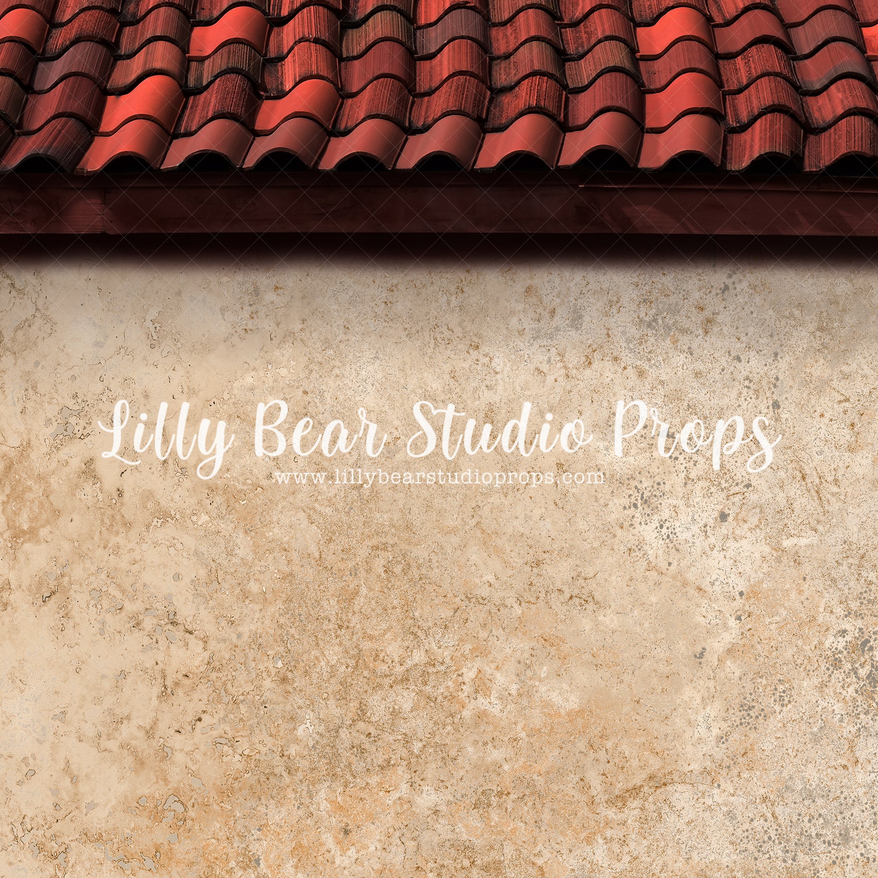 Spanish House by Lilly Bear Studio Props sold by Lilly Bear Studio Props, catus - fiesta - fiesta party - first birthda