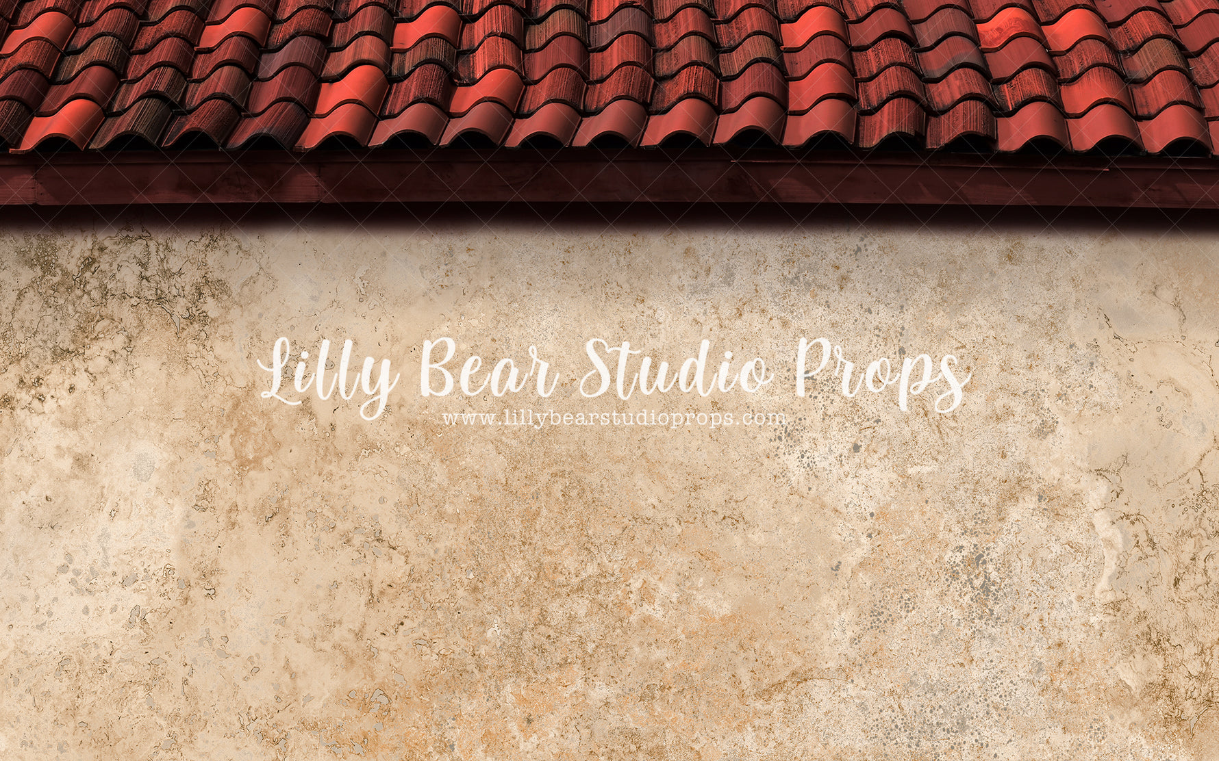 Spanish House by Lilly Bear Studio Props sold by Lilly Bear Studio Props, catus - fiesta - fiesta party - first birthda