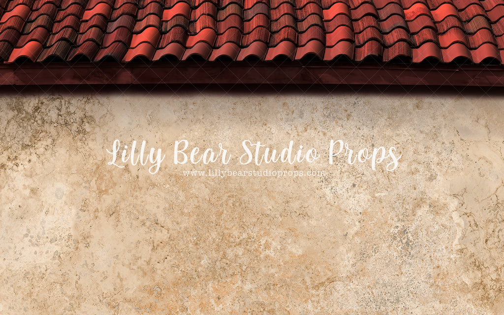Spanish House by Lilly Bear Studio Props sold by Lilly Bear Studio Props, catus - fiesta - fiesta party - first birthda