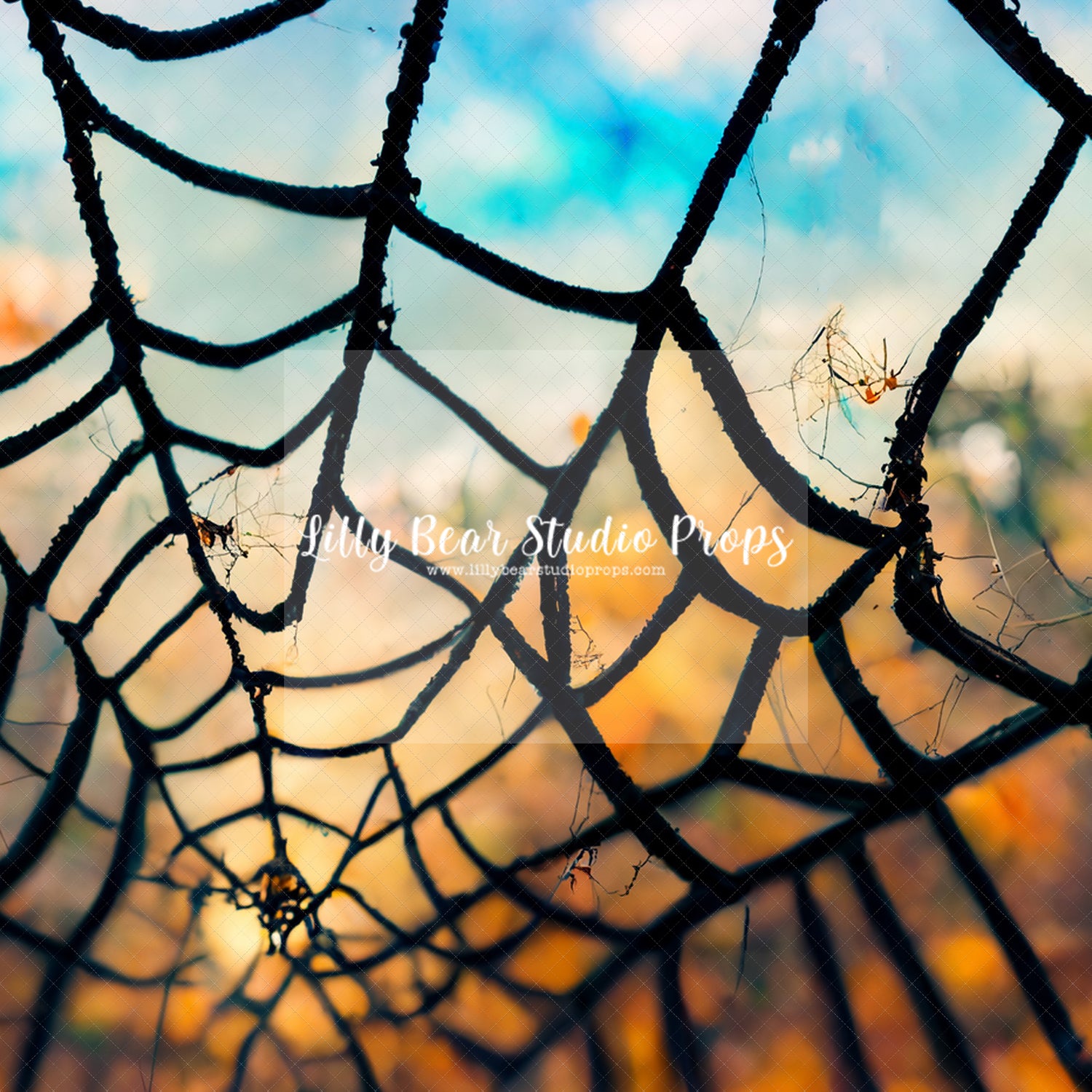 Spinning The Web