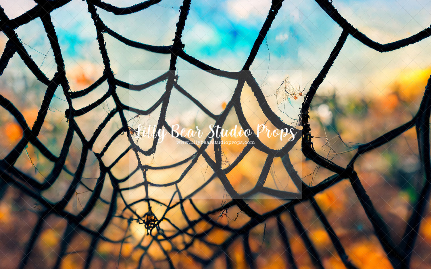 Spinning The Web