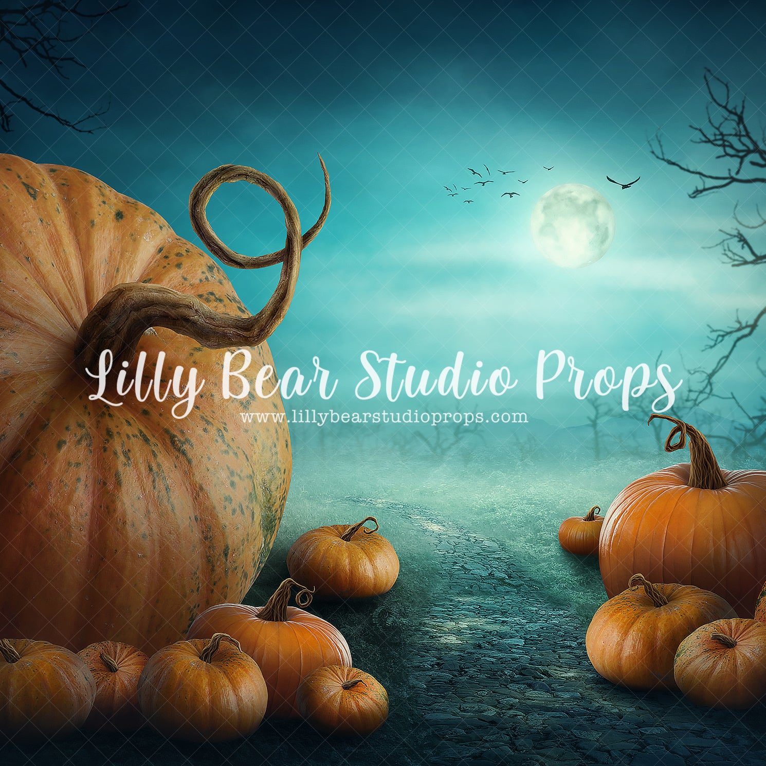 Spooky Pumpkin Patch by Lilly Bear Studio Props sold by Lilly Bear Studio Props, bat - bats - black crows - boy pumpkin