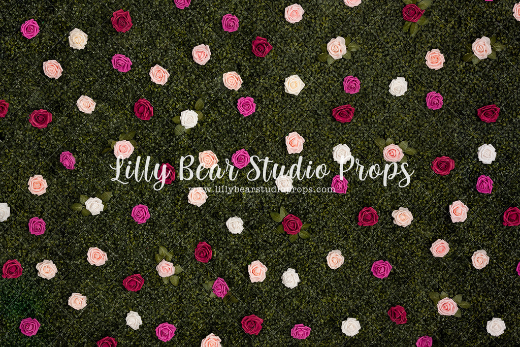 Spring Blooming Rose Wall - Lilly Bear Studio Props, blue roses, boxwood, boxwood wall, bush, FABRICS, floral, flowers, garden, grass, green wall, greenery, pink rose, pink roses, purple roses, red rose, red roses, rose, roses, spring, valentine, valentines, valentines day, white roses