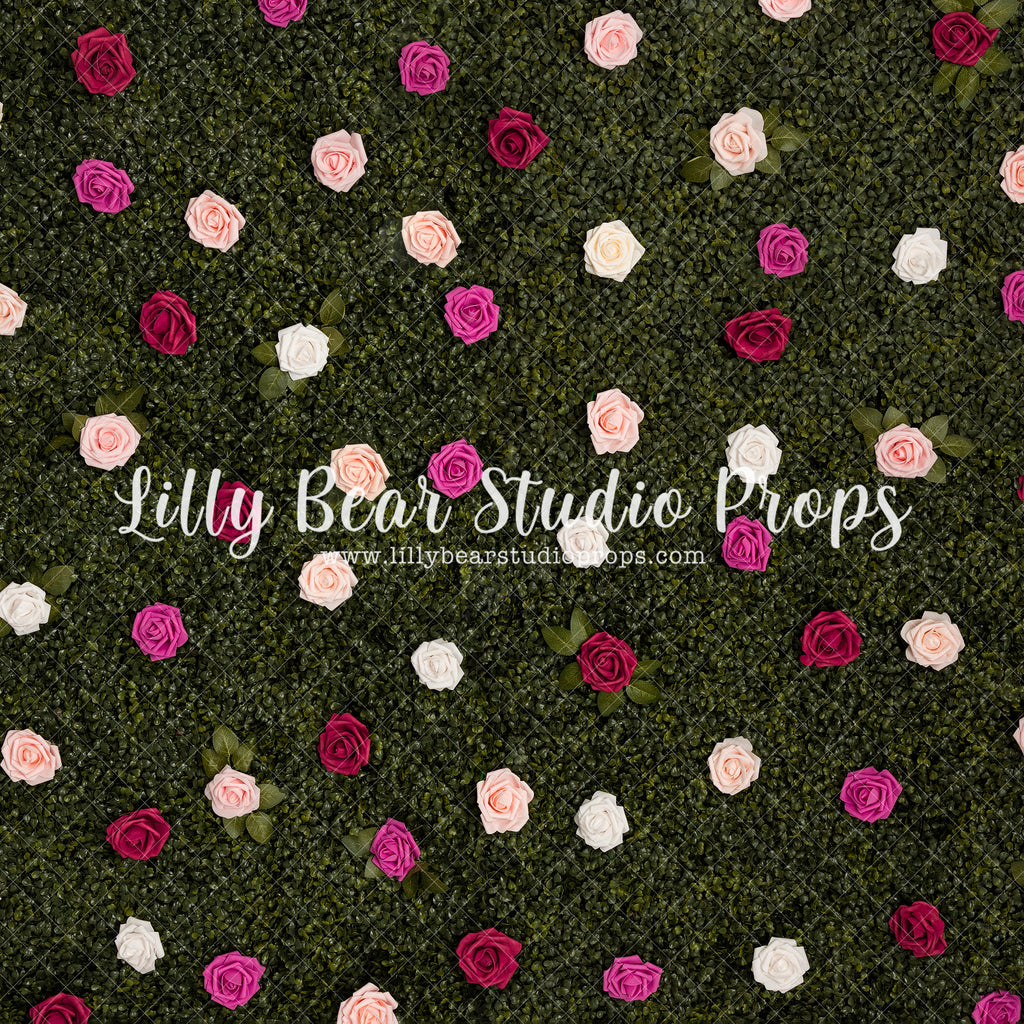 Spring Blooming Rose Wall - Lilly Bear Studio Props, blue roses, boxwood, boxwood wall, bush, FABRICS, floral, flowers, garden, grass, green wall, greenery, pink rose, pink roses, purple roses, red rose, red roses, rose, roses, spring, valentine, valentines, valentines day, white roses