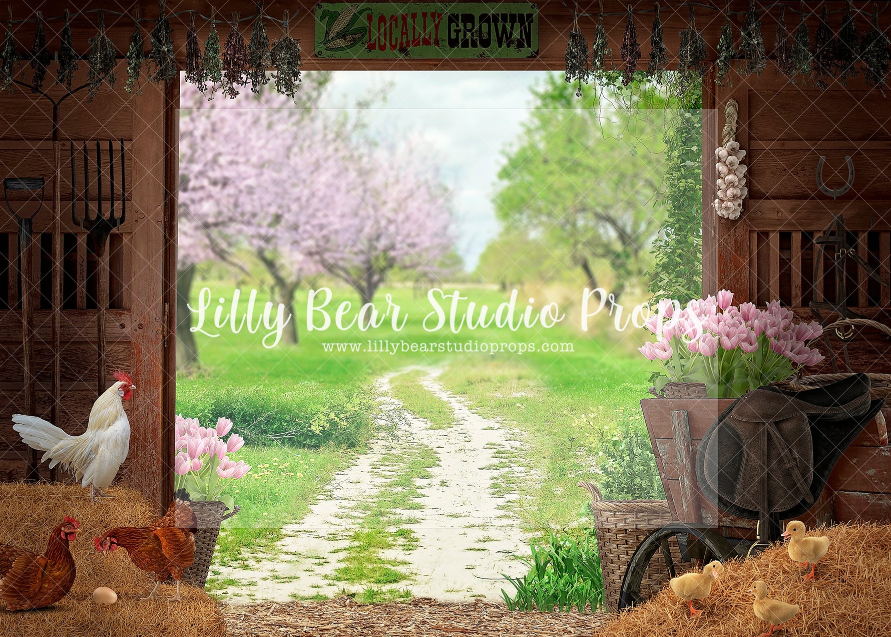Spring barn locally grown - Lilly Bear Studio Props, barn, barn animals, barn doors, barnyard, barnyard animals, cherry blossoms, chick, chicken, chickens, chicks, Fabric, FABRICS, flower spring, pink cherry blossoms, pink tulips, spring, spring barn, spring barn doors, springbarn, Wrinkle Free Fabric