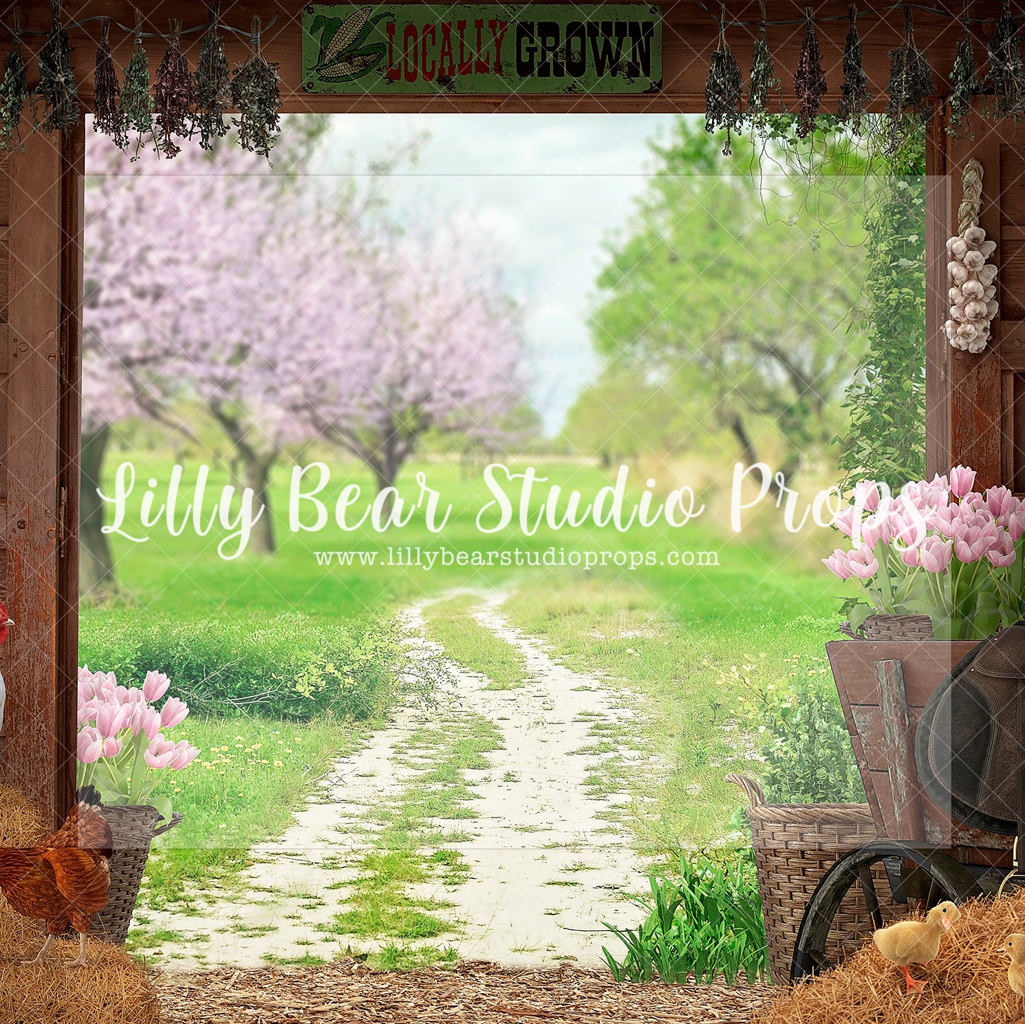 Spring barn locally grown - Lilly Bear Studio Props, barn, barn animals, barn doors, barnyard, barnyard animals, cherry blossoms, chick, chicken, chickens, chicks, Fabric, FABRICS, flower spring, pink cherry blossoms, pink tulips, spring, spring barn, spring barn doors, springbarn, Wrinkle Free Fabric